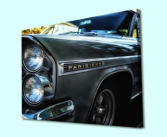 Canvas Prints